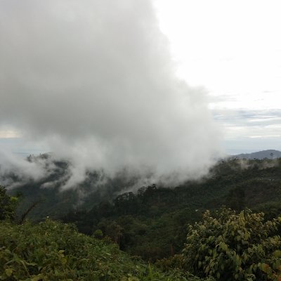 PuncakSelapan's profile picture. Camping_Tracking_Trail adventure