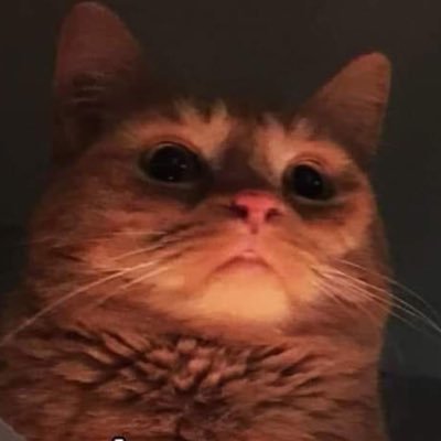 ððððĄðēðŪð§ð ðððŽððŦðŊððŽ ððĨðĨ ððĄð ðĨðĻðŊð ðĒð§ ððĄðĒðŽ ððąððĪðĒð§ð ð°ðĻðŦðĨððŊ