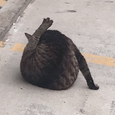 角さんのプロフィール画像