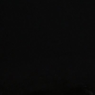 corgiinu's profile picture. 