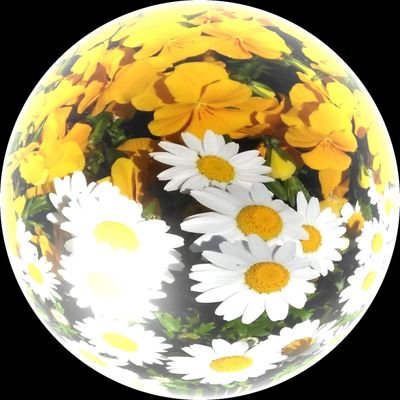こんな私でも救われた。この世の真実、RAPT Blog https://t.co/kNMpspjlbhを多くの方に知っていただきたくて・・・