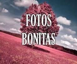 Imágenes de bonitas para descargar gratis