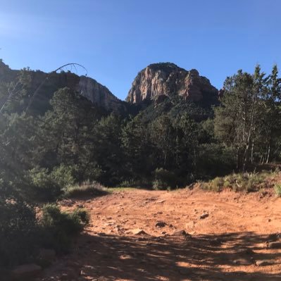 JoelRey68078958's profile picture. 