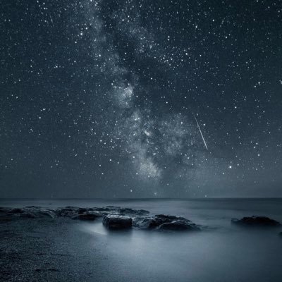 Gece88103863's profile picture. 🌚🌙