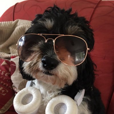 HughsiesSeaton's profile picture. 