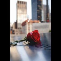 ✨حلم المهد✨ (@sh_2o14) 's Twitter Profile Photo