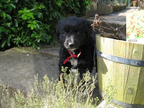 aylesm's profile picture. 