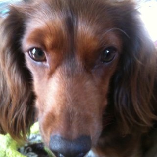 3RedHds's profile picture. 