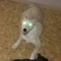 MattiAR (@matti_ar_) 's Twitter Profile