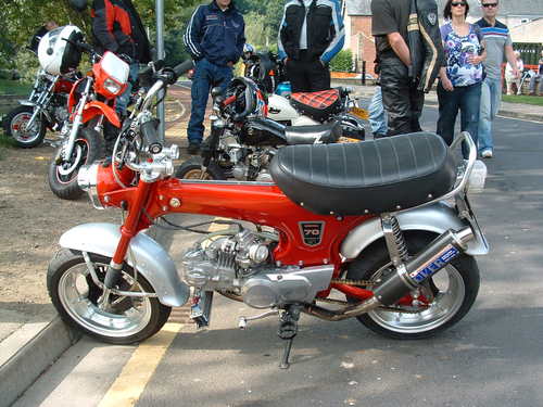 BIGWIG74's profile picture. 