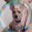 tammy_grace2373's avatar