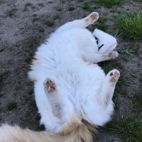 FREDDIE (@freddie44199264) Twitter profile photo