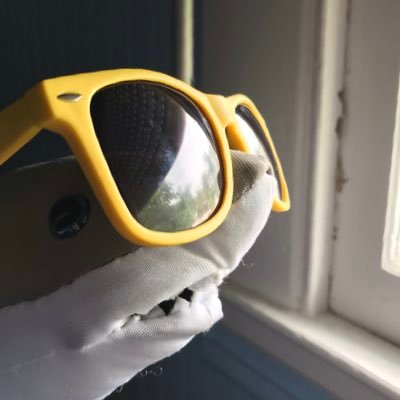 Sharkyboi11's profile picture. I’m a shark. I do shark things. I’m on a Shark adventure. I’m ready for thanksgiving