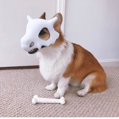 MAOMAO_718's profile picture. 