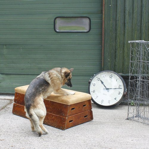 Successful and forward thinking fashion antiques business, selling pre 1960's furniture and decorative items from our very cool shop in London NW8.