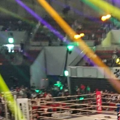 gogogopgggggggg's profile picture. 