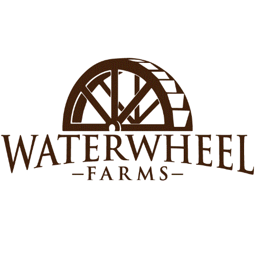 Waterwheel Farms is an aquaponics farm that supplies restaurants & households in Toronto with fresh, local produce year-round.