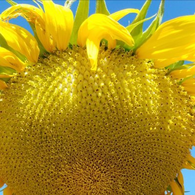 ZolaJean14's profile picture. As an independent artist, I am inspired by the beauty I find in my surroundings.