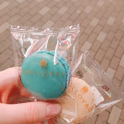 lyyyynon's profile picture. 朝型になろうとしなければならない夜型人間
成人済み、声フェチ、出会いは求めていません