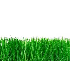 Boston_Apple's profile picture. 私は、私のリンゴの配送をご紹介し、それから私は困ったことになる