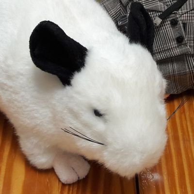 루와즈 공개계さんのプロフィール画像