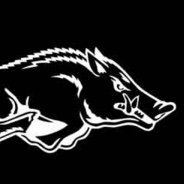 RazorbackKingPin (@pinrazorback) 's Twitter Profile