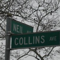 Neil Collins (@collinsneil) 's Twitter Profile
