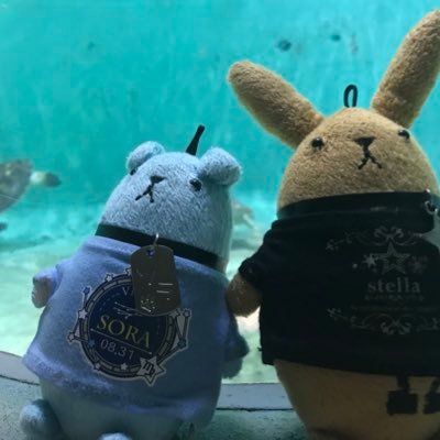 1107232ayk's profile picture. 雑多垢。イチャリバNo.823/DGS/KSC/GO5//仲村宗悟さん/小野大輔さん/神谷浩史さん/Uncle Bomb💣その他ツイフィで! 相棒兼天使👼💕→(@Cosmia_Hakuto) 次回→柿ライ東京 四季シリーズ11/29昼11/30夜