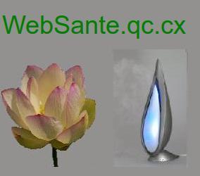 Boutique en ligne spécialisée dans les produits de santé (savons, baumes, huiles essentielles) et dans les articles de plein air.(camping, sport)