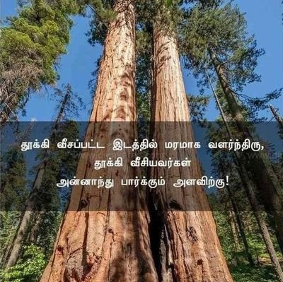 kvinvinay151990's profile picture. thanks for letting us