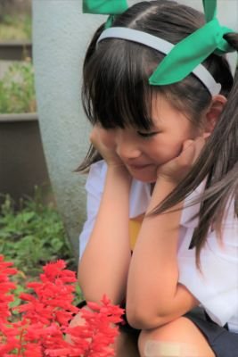 ほわ(@Howa_Angelday)の親です
ほわへの問合せや写真はこちらか母(@Ryouma1231T)のDMまでお願いします。
