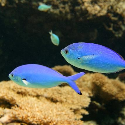 L22JPgHhrBooaiK's profile picture. こんにちはー 暇つぶしでやってますー よろしくー😀