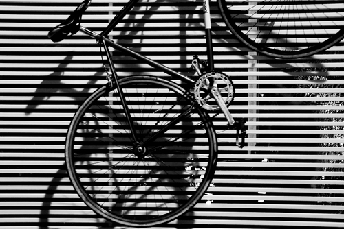 mfingermann's profile picture. 