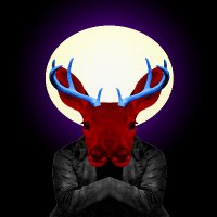 deergodnyc (@deergodnyc) 's Twitter Profile Photo
