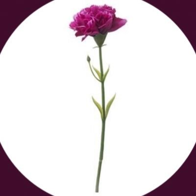 elhm1413's profile picture. "إِنَّمَا أَشْكُو بَثِّي وَحُزْنِي إِلَى اللَّهِ"