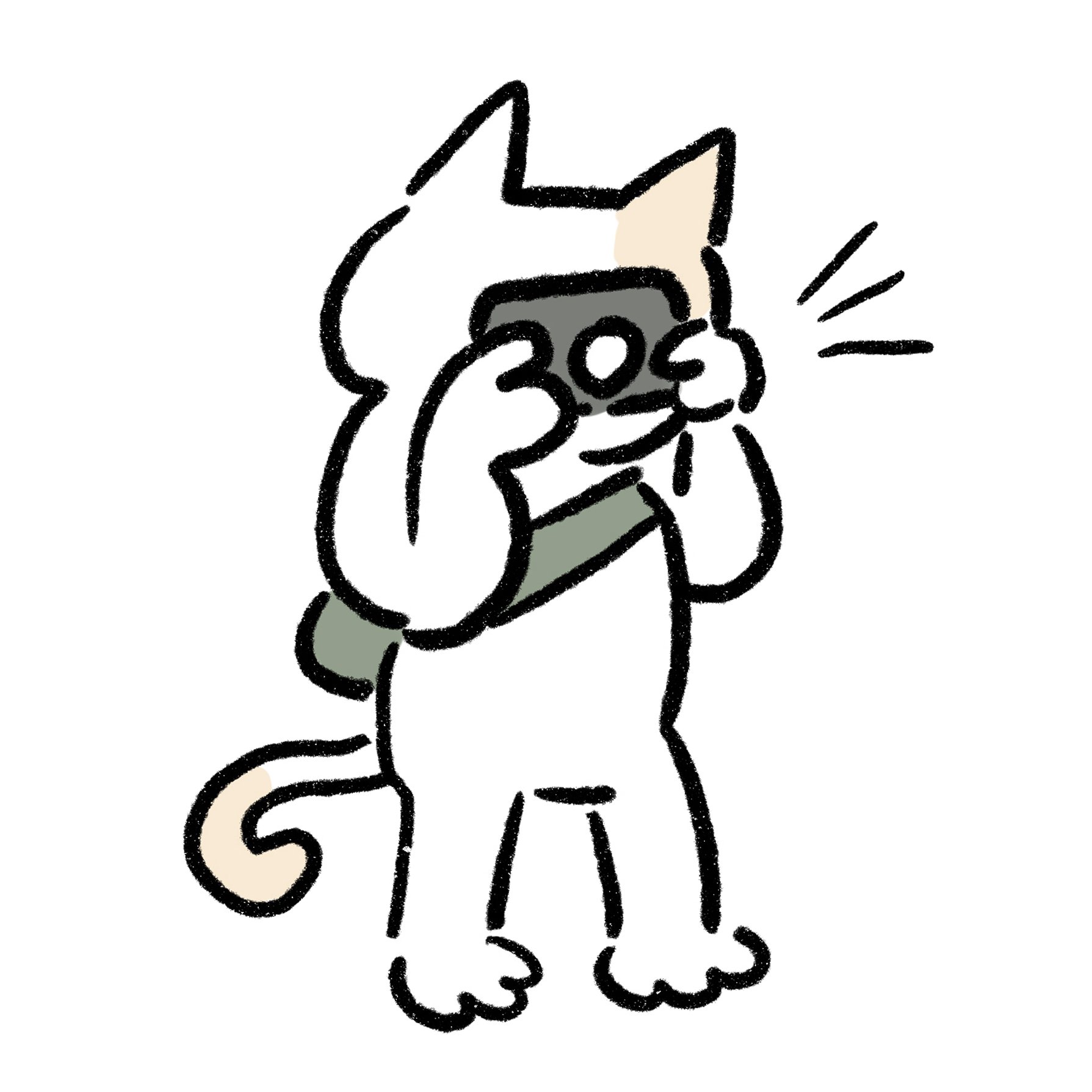 Kitty Beomさんのプロフィール画像