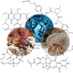 BeemelmannsLab (@cbeemelmanns) Twitter profile photo BeemelmannsLab (@cbeemelmanns) Twitter profile photo