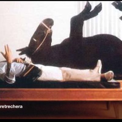 lamulaconchita's profile picture. Soy una mula, pero muy inteligente que quiere trabajar por los campesinos cafeteros del país y en especial del Huila y Pitalito.