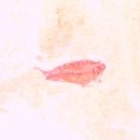 Bill Briggs - @wmbriggz - Twitter