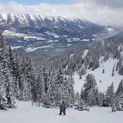 DReinsch's profile picture. 