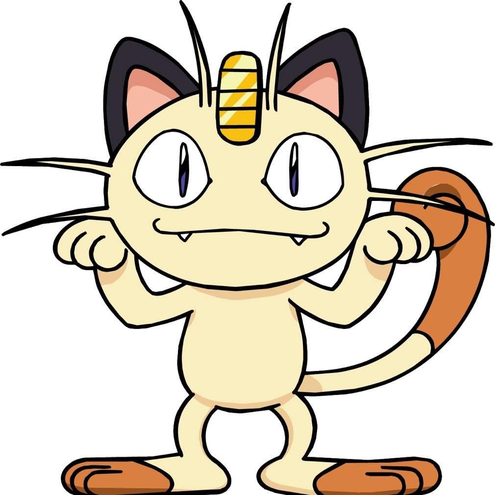 rockets_meowth's profile picture. e-Commerce, MTG, Bikes and Stuff