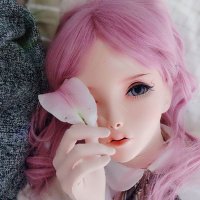 白玖柳(君君丢了胖次) (@junjunpangcijun) 's Twitter Profile