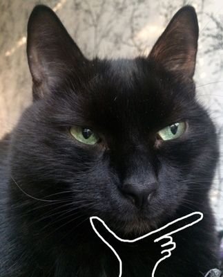 exFr8S7dKzcg7ZK's profile picture. DevOps