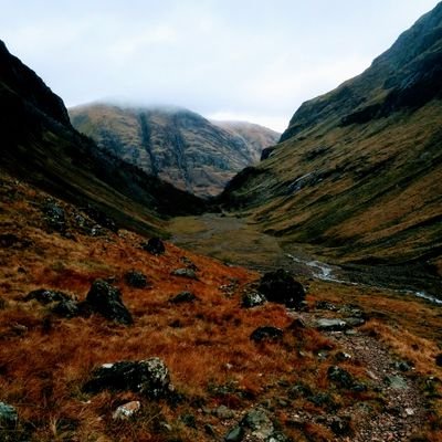 ryscojo's profile picture. 