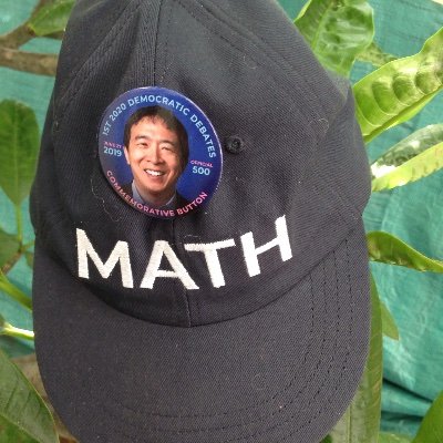 I AM: Working for my favorite candidate Andrew Yang because I like MATH & Unconditional Basic Income💕