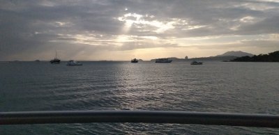 frako789's profile picture. Autodidacta