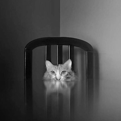 shilpa_22's profile picture. 