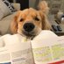 Curated Science (@curated_science) Twitter profile photo Curated Science (@curated_science) Twitter profile photo