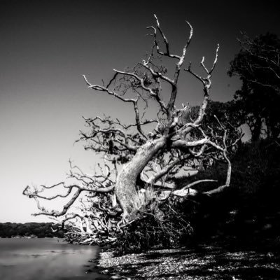 Coming soon- my Cameravan for Analogue and alternative photography processes