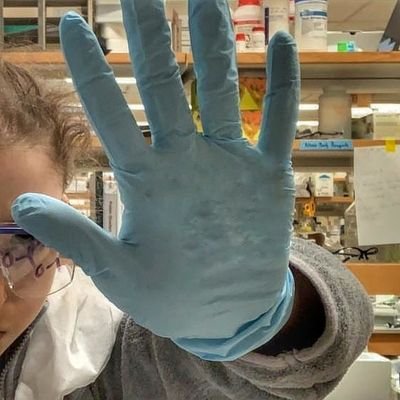 BScicomm's profile picture. BiotechSciComm